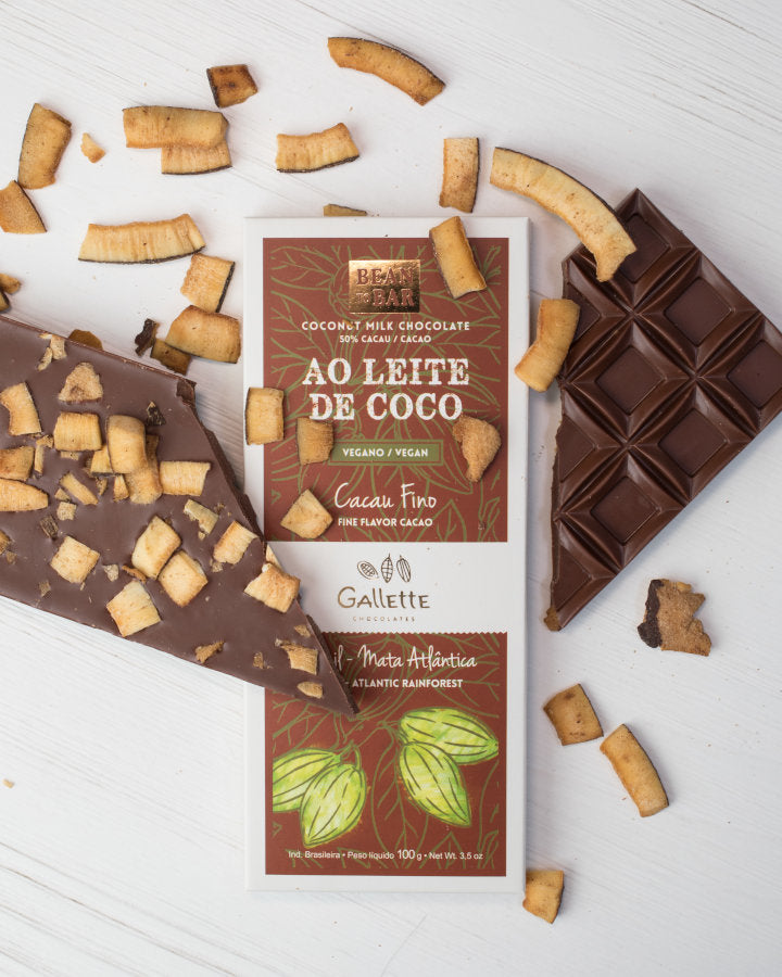 Vegan Coconut Chocolate Bar - 3.5 oz